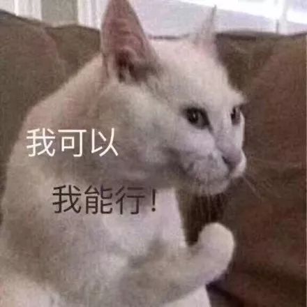 分享一组猫咪表情包丨生活终于对我这只小猫咪动手了