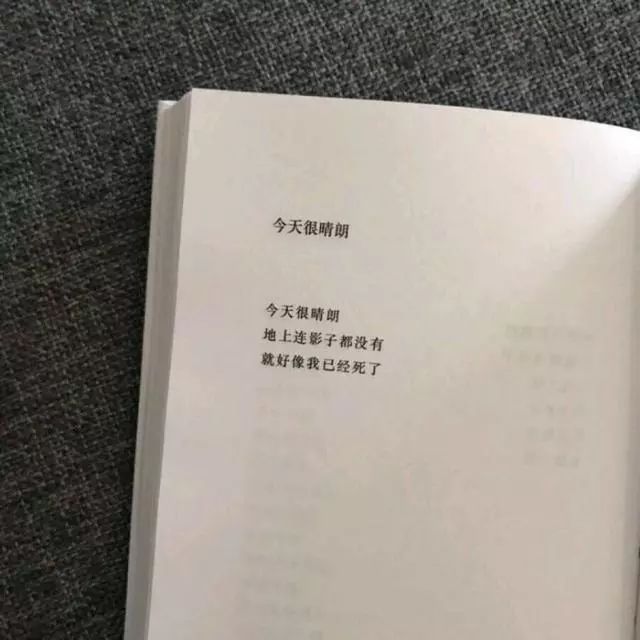 「背景图杂」这世间如你所愿吗