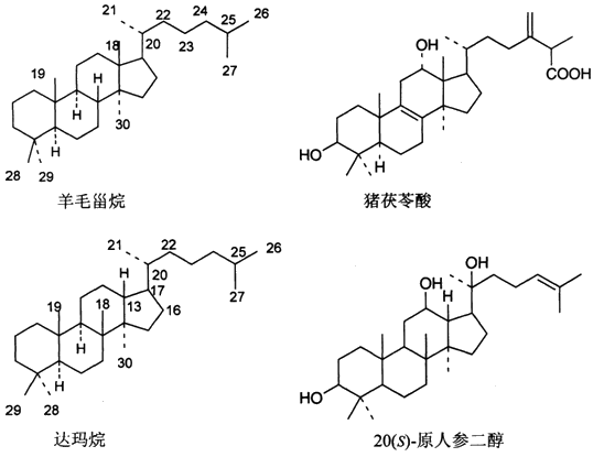 中药化学丨皂苷(结构与分类)