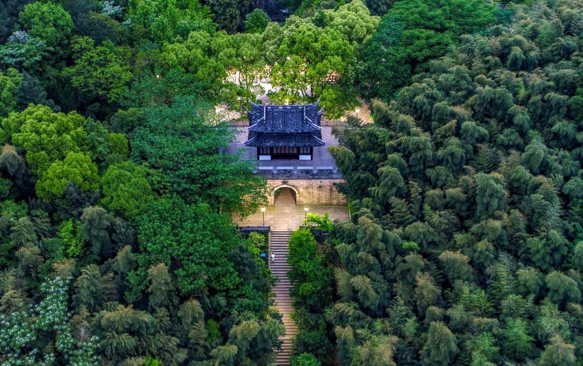 最近两年,舟山群岛成了网红旅游打卡地,而浙江的普陀就在舟山群岛的