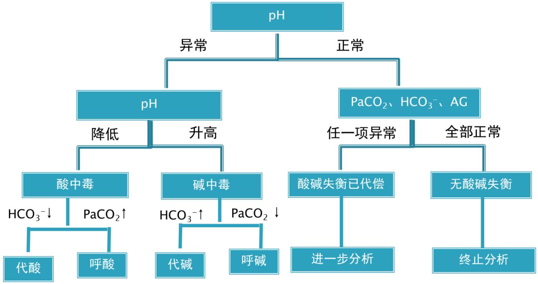 实战教程:血气分析结果的判读