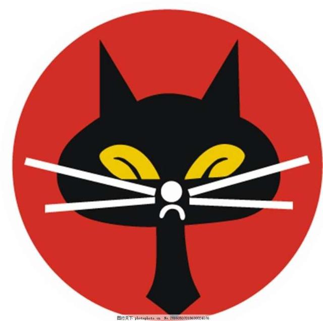 黑猫中队标志