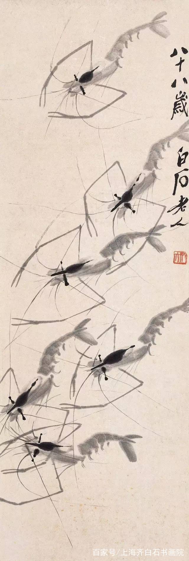 中国画家千千万万,画"虾"不只有齐白石