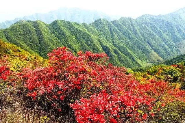 这座隐匿皖南的千年小城,一路一景都是水墨仙境!_泾县