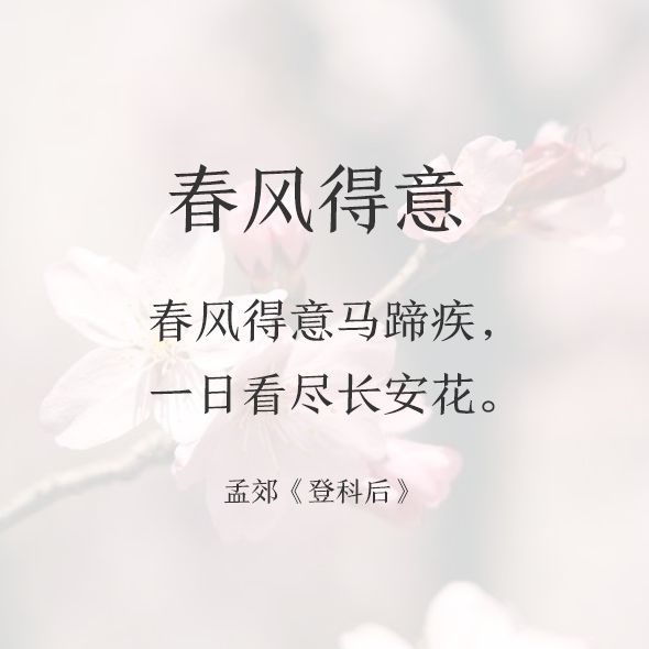 成语什么花秋月_春花秋月图片(2)