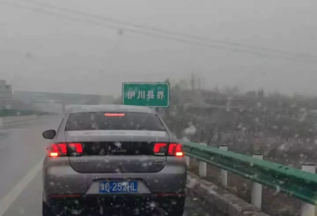 雪!雪!郑州,新乡,平顶山…都下雪了!你那里收到了吗?