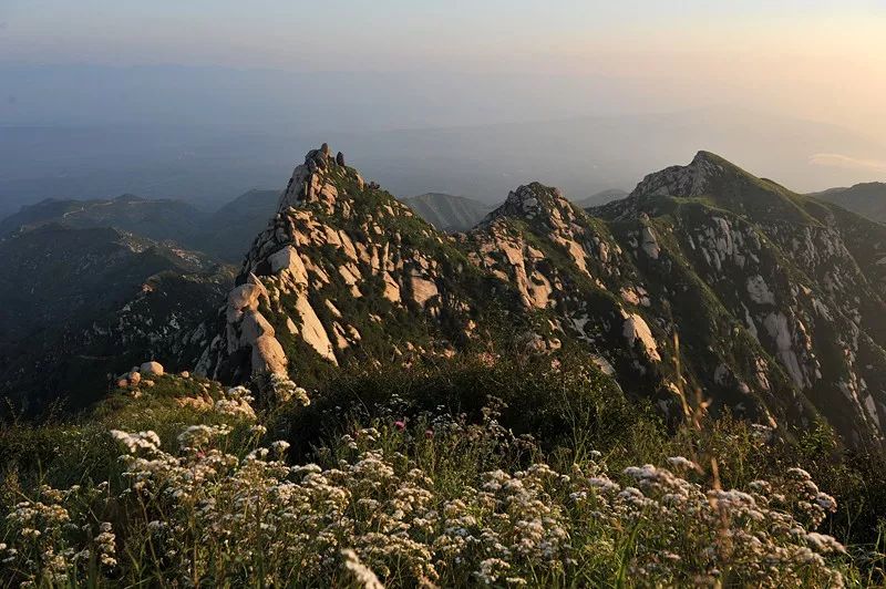 好消息!持灵宝身份证,10元看遍娘娘山美景,快扩散