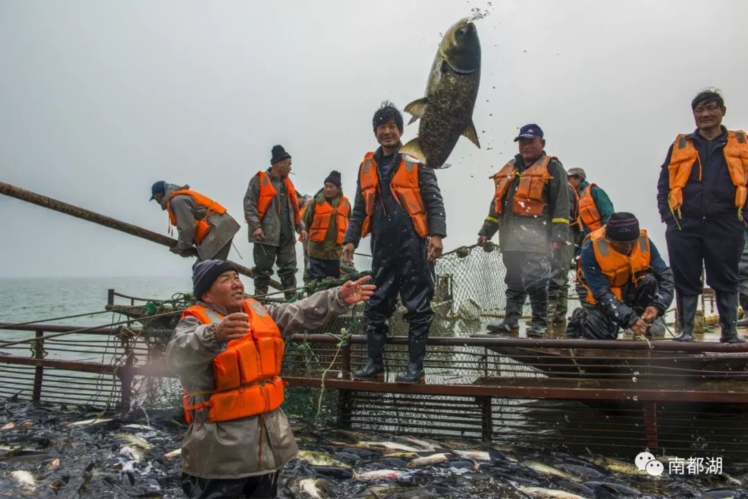 首届南都湖渔业丰收节暨郑州市南阳商会产业扶贫项目落地观摩会隆重