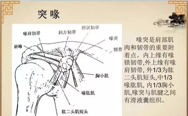 针刀治疗肩周炎诊断与解剖