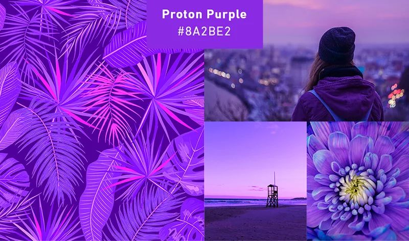 proton purple-#ff1493