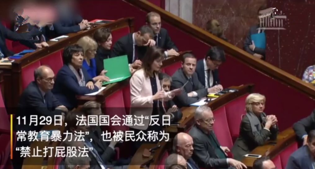 国 际 资 讯 近日,法国国会通过"反日常教育暴力法案",法案规定父母