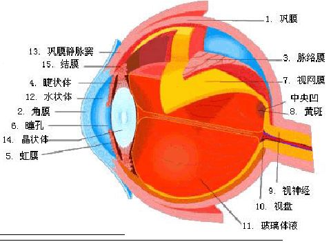 全社会行动起来呵护眼睛拯救视力