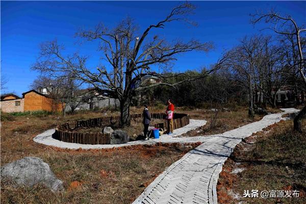 富源县中安街道海坪社区清水沟村脱贫攻坚侧记