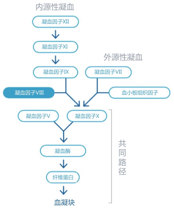 优先审评罗氏凝血因子viii类似物hemlibra获批上市