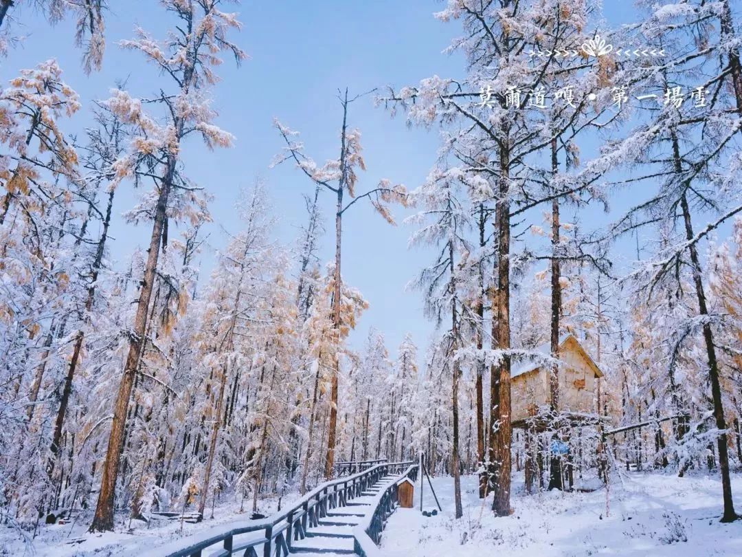 初冬里的南方人该去哪儿赏雪?这条中国最美雪景环线,为你踏雪而来