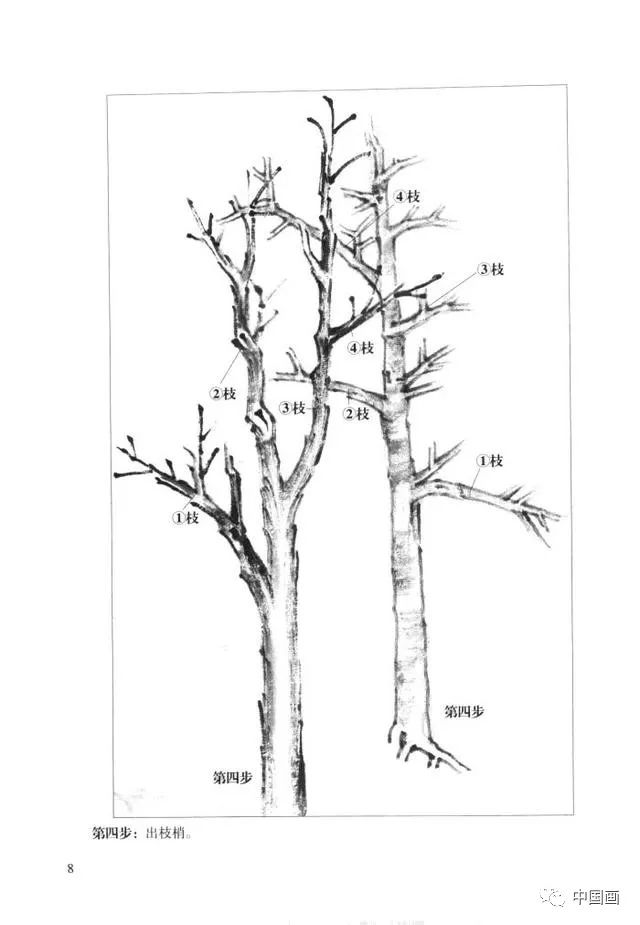 【国画知识】中国画画法教程之怎样画杂树,树木的结构