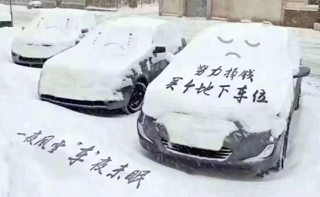 下雪了,一起去朋友圈看雪吧