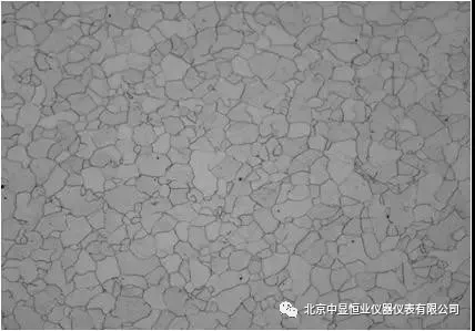 作品2018金相大赛前十作品赏析