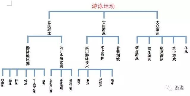 雷竞技RAYBET游泳运动的分类都有哪些呢？(图2)