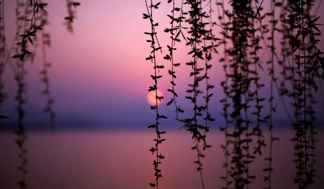 江流宛转绕芳甸,月照花林皆似霰; 空里流霜不觉飞,汀上白沙看不见.