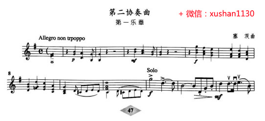 施塔米茨中提琴协奏曲谱子_玛塔塔米蜡笔小新(5)