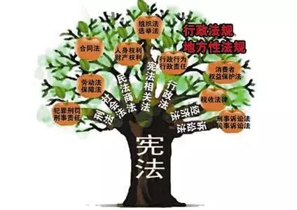 权利和自由基本义务维护国家统一与民族团结遵守宪法和法律其他义务