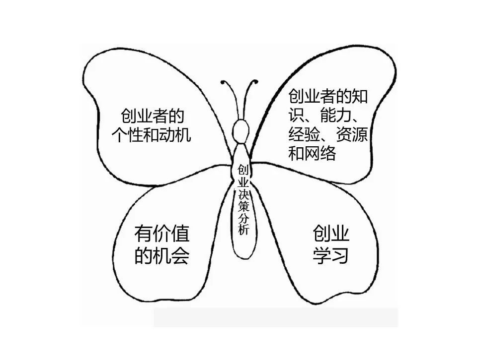 创业决策分析的蝴蝶模型