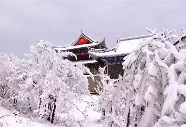 冬季下雪的日子,洛阳黛眉山雾凇雪景