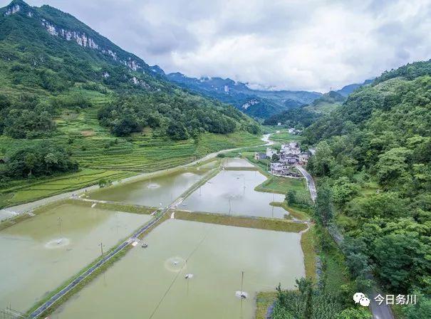 浞水镇乐园大闸蟹养殖基地 田东摄