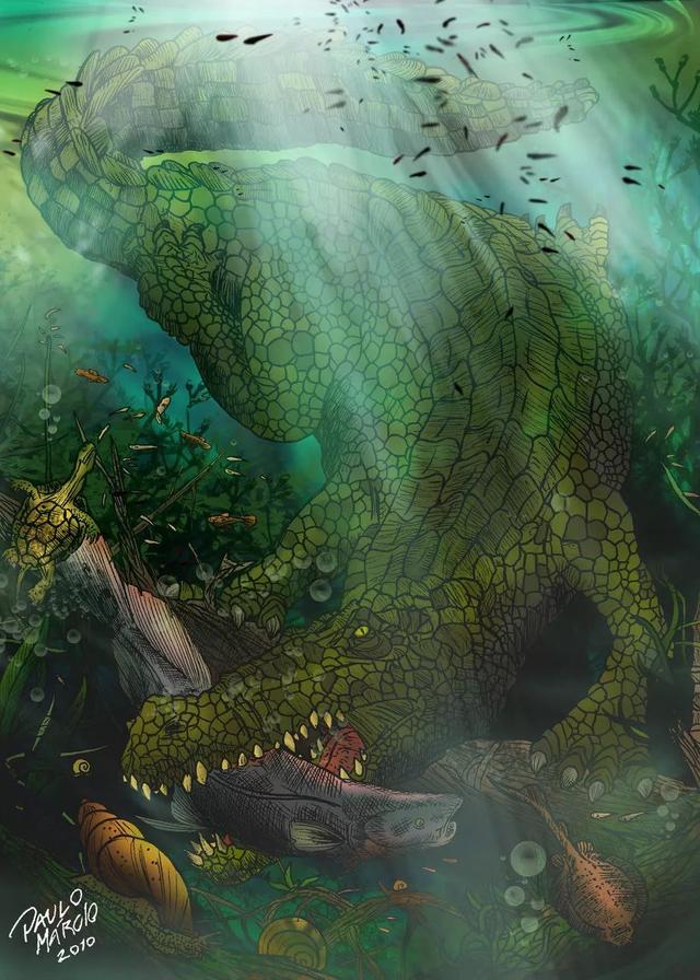 普鲁斯鳄咬合力超过霸王龙的南美巨鳄