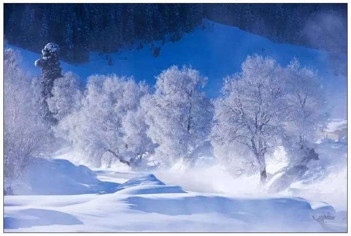 林海雪原,一个风华绝代的美人!