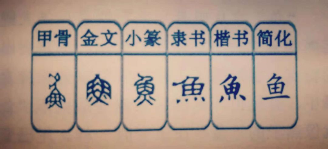 "鱼"字从甲骨文来看就是一条大鲤鱼,后面的金文,小篆等等的变化,都是