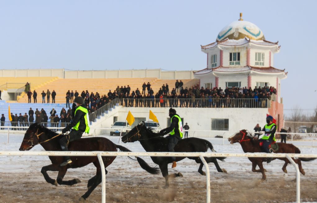 博乐市第三届"那达慕"冰雪旅游节之赛马活动精彩呈现