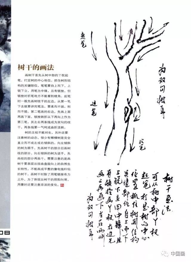 松树的基础画法图解,松树的各种画法,松树的结构及作画步骤详解