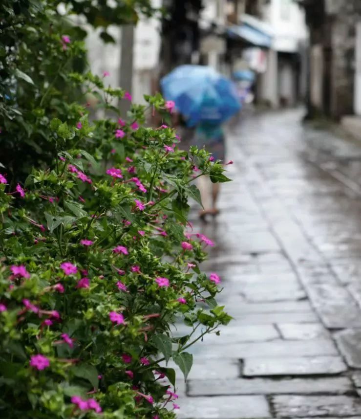 下雨天,没想到这里的景色超美,一起去休宁的街头走一走