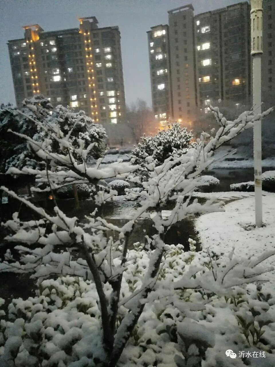 沂水最美的雪景看这里,美翻你的朋友圈!_雪花