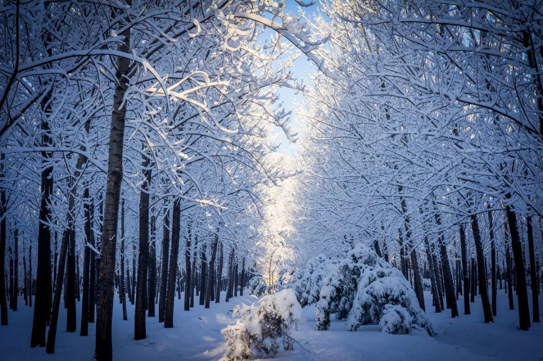 2018年冬天我市第一场大范围降雪正在赶来的路上