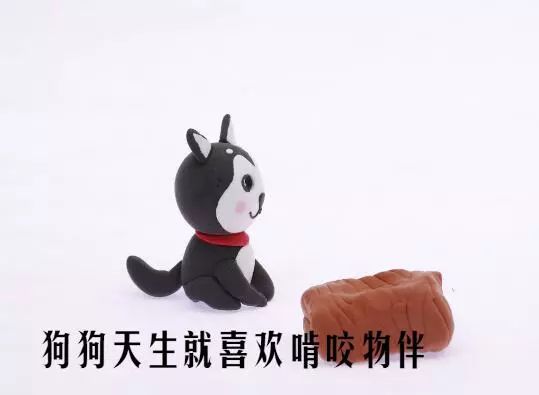 狗牙疼怎么办