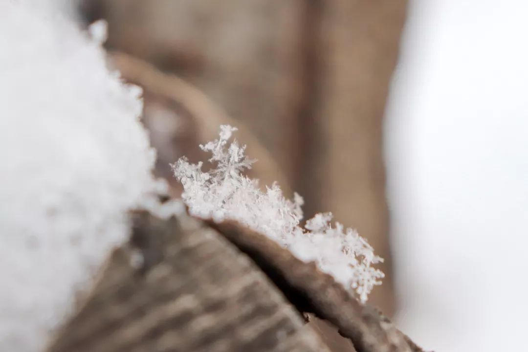 雪花轻轻落在衣角