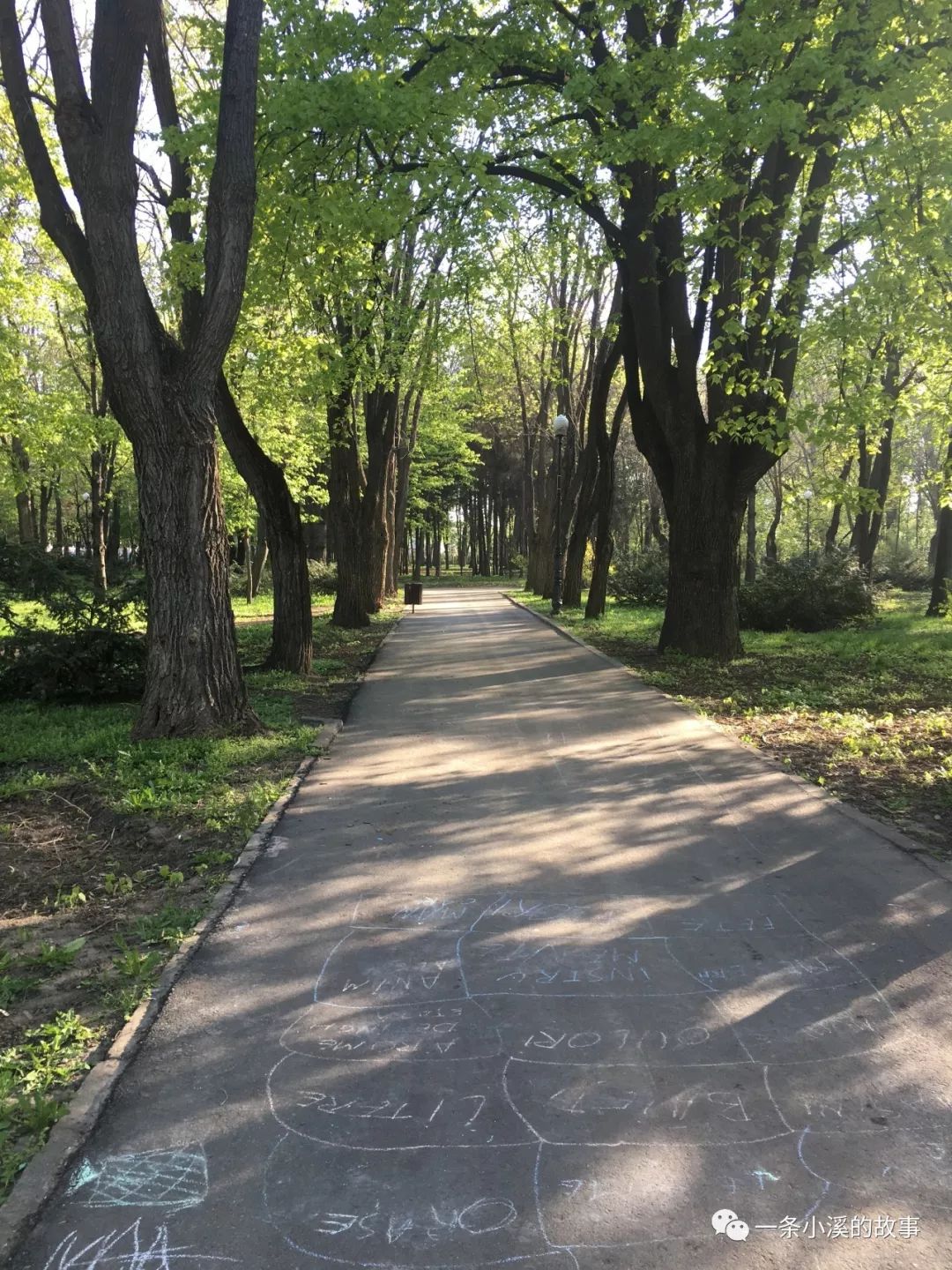 距离宿舍两分钟的公园,在阳光明媚的早晨,我会在这里跑跑步,总会遇见