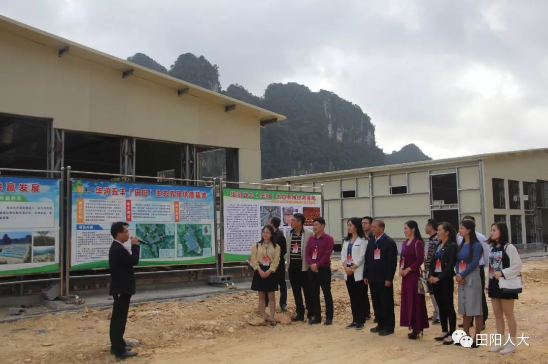 广西百色市田阳县有多少人口_广西田阳县坡洪镇图片