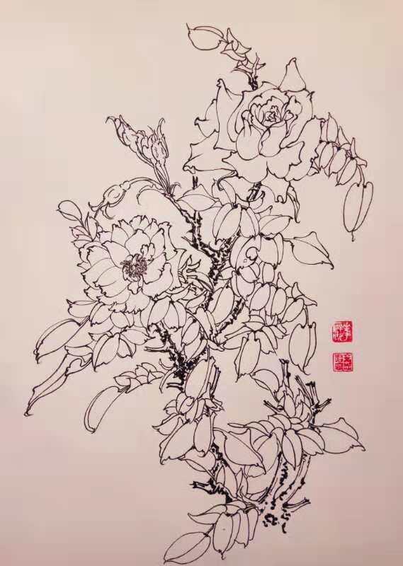 14,叶志军的钢笔画第七百八十二幅——月季花(中性笔白描花卉习作)13