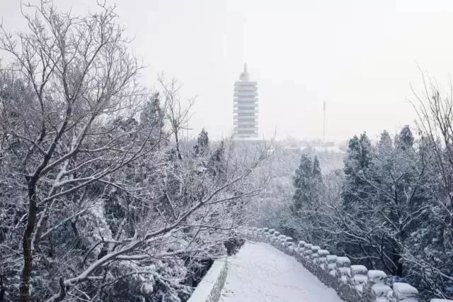 下雪啦淄博这些地方的雪来了你那里下雪了吗