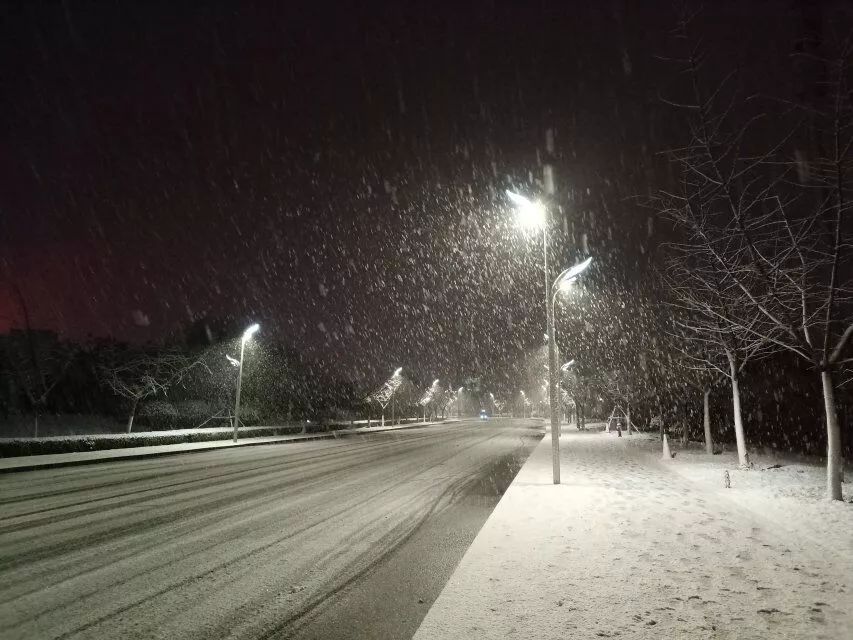 临大初雪丨等你好久,雪后的临大,惊艳了整个冬天