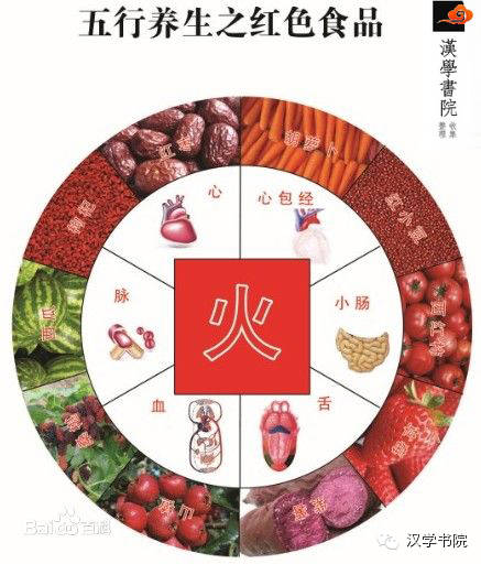 食品营养丰富,保健功能好,而且在我们民族历来的传统观念"医食同源,药