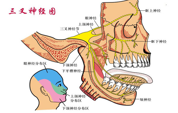 三叉神经鞘瘤常见症状及手术