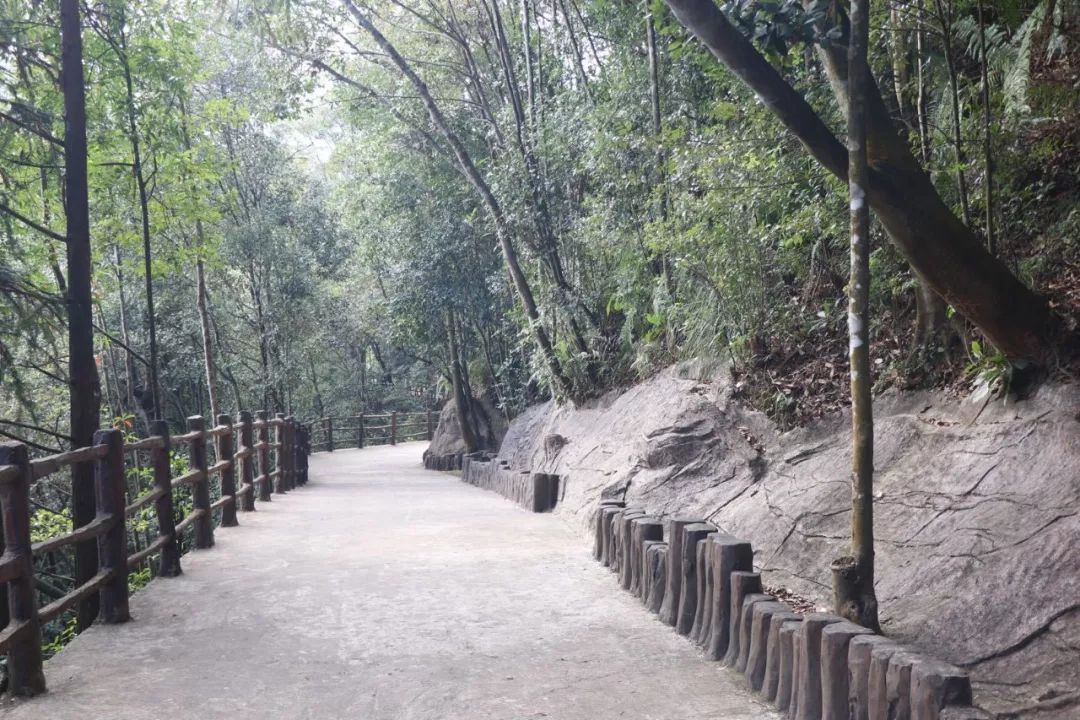 八乡山一日游实验中学八年级 池宣衡今天,我跟着圆梦工坊的老师和