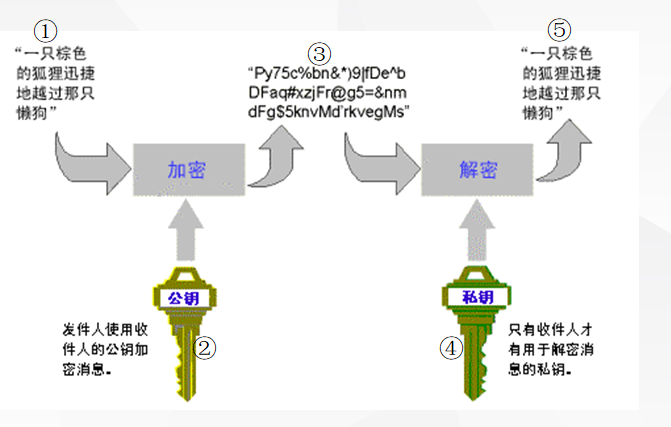 HTTPS加密的重要性來確保客戶資訊保安