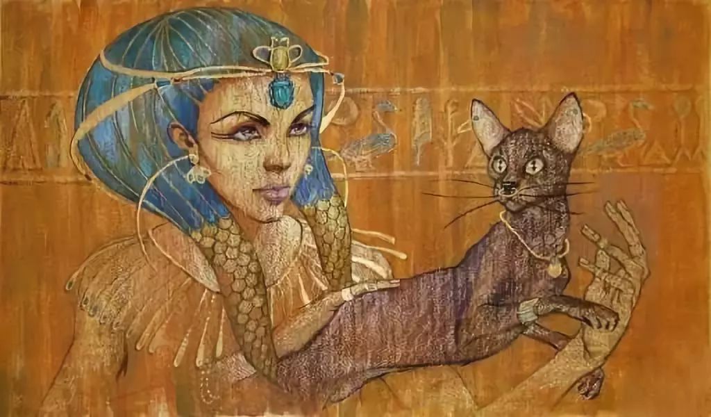 古埃及人为啥喜欢猫?