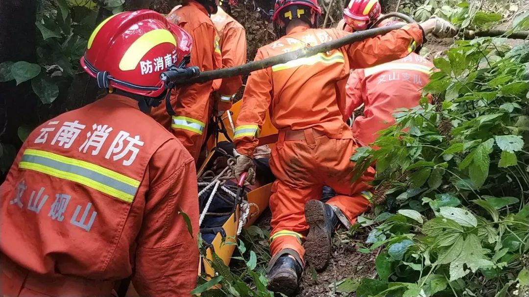 砚山有多少人口_云南砚山 耕牛掉进八米深排污井 消防官兵下井施救(3)